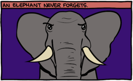 Elephants Are Not Information Media
