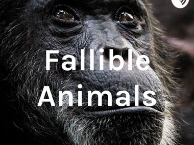 fallible_animals